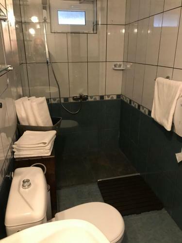 Hostal Pensiunea Cerbul Carpatin