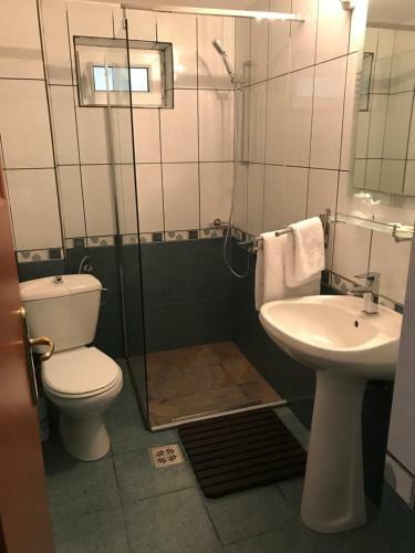 Hostal Pensiunea Cerbul Carpatin