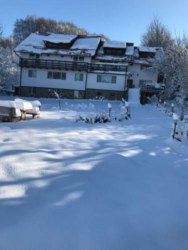 Hostal Pensiunea Cerbul Carpatin