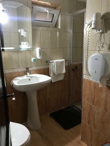 Hostal Pensiunea Cerbul Carpatin