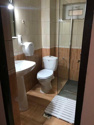 Hostal Pensiunea Cerbul Carpatin