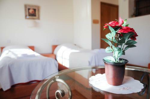 Hapina-shel-michal Hotel