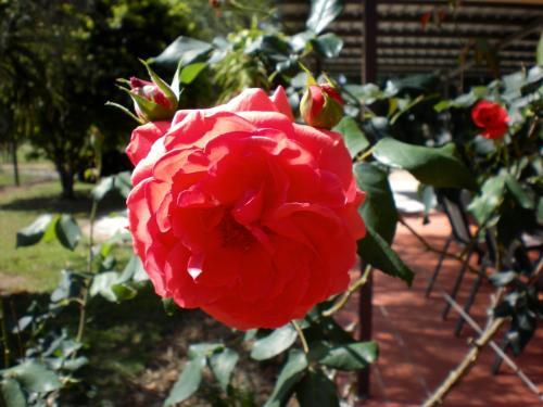Agroturismo Crystal Creek Country Stay