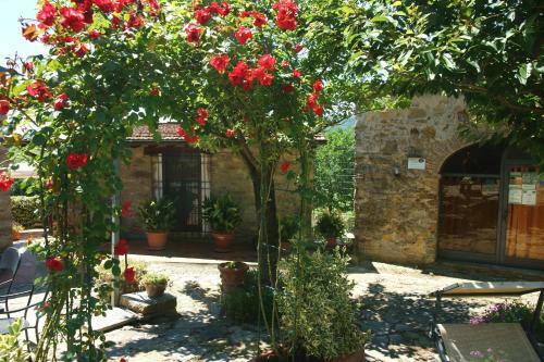 Agroturismo Podere Vignola