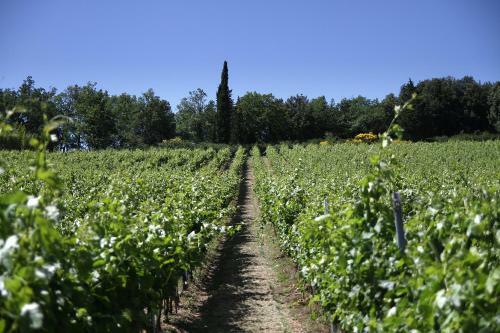Agroturismo Podere Vignola