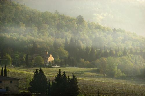 Agroturismo Podere Vignola
