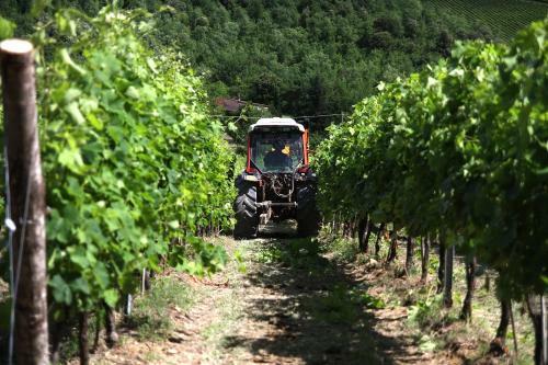 Agroturismo Podere Vignola