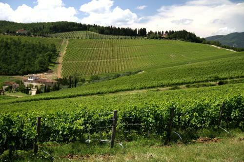 Agroturismo Podere Vignola