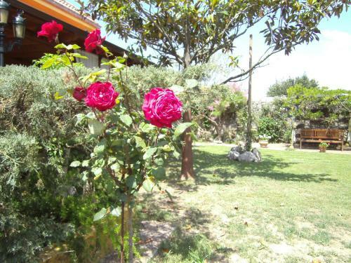 Agroturismo Hoster�a Las Fuentes