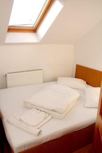 Hostal Pensiunea Timi?oara