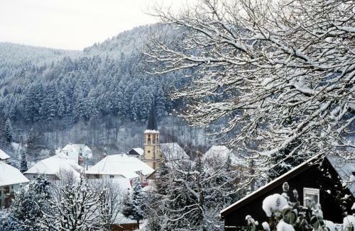 Hotel Hostellerie La Cheneaudi�re & Spa