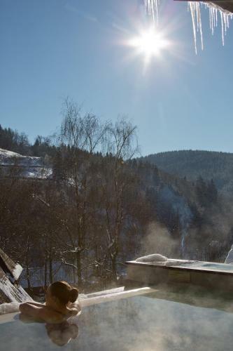 Hotel Hostellerie La Cheneaudi�re & Spa
