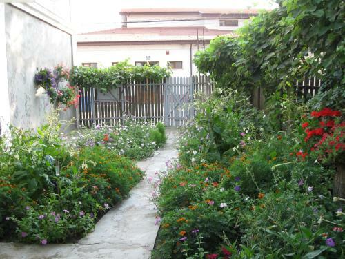 Hostal Pensiunea Turistica Visconti