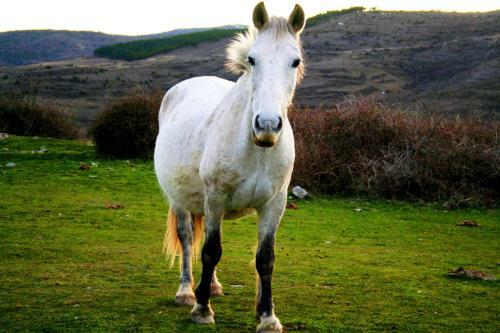 Agroturismo Casa Rural Ca��n De R�o Leza
