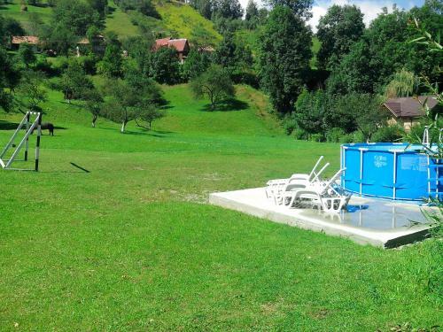 Vila Doina Branului