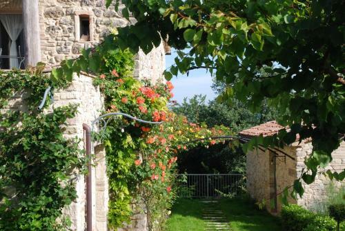 Agroturismo Casarciccia