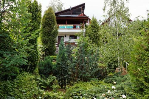 Hostal Pension Stejeris