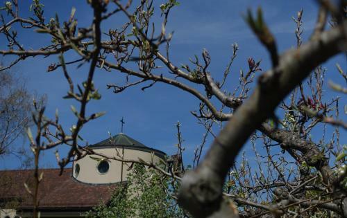Hotel H�tellerie Franciscaine
