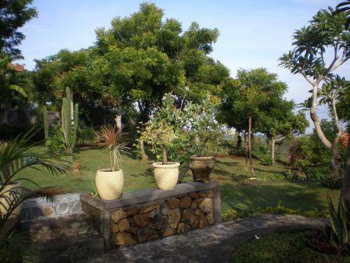 Villa The Raja Singha Boutique Resort Bali