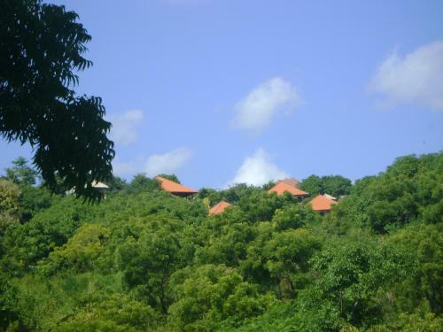 Villa The Raja Singha Boutique Resort Bali
