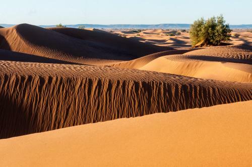 Desert Bivouac Ch�gaga