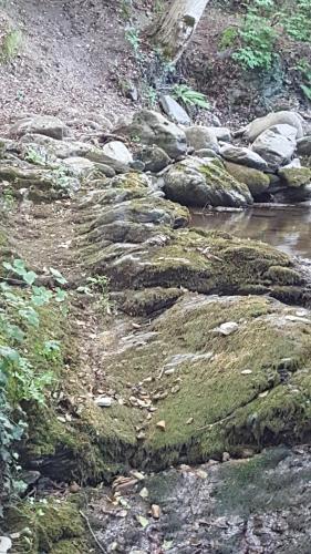 Agroturismo Casa Rural Les Flors