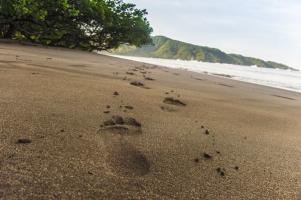 Villas Sol Hotel & Beach Resort(hdo)