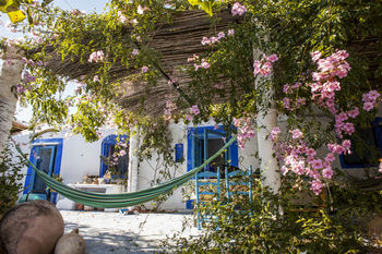 Agroturismo Casa Rural Aloe Vera