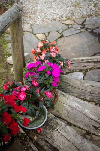 Agroturismo Casa Rural Penaquente