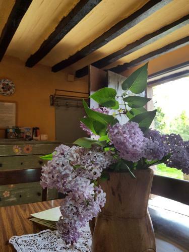 Agroturismo Apartaments Mas Violella