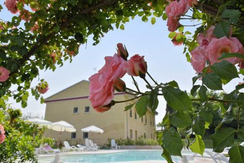 Agroturismo Agriturismo Panorama