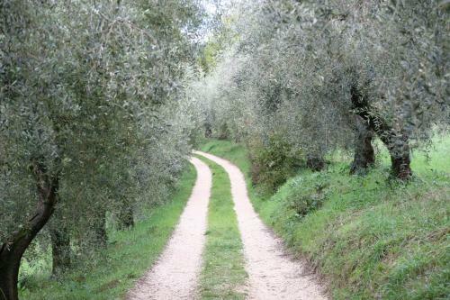 Hostal Agriturismo Terra Sabina