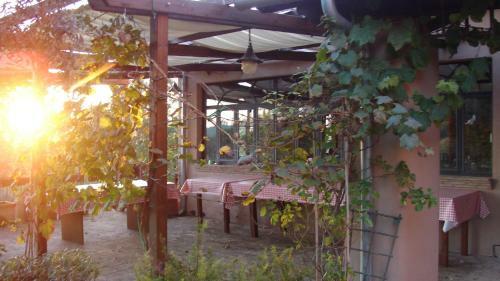 Hostal Agriturismo Terra Sabina
