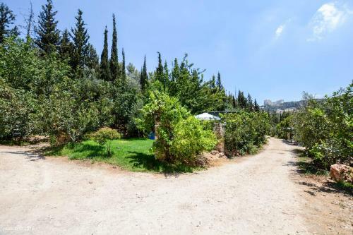 Hostal Tur Sinai Organic Farm Resort