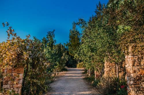 Hostal Tur Sinai Organic Farm Resort