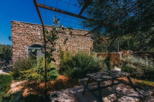 Hostal Tur Sinai Organic Farm Resort
