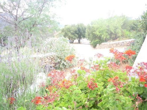Agroturismo Camisadu