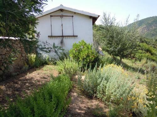 Agroturismo Camisadu