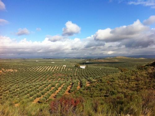 Agroturismo Casa Rural La Cateta