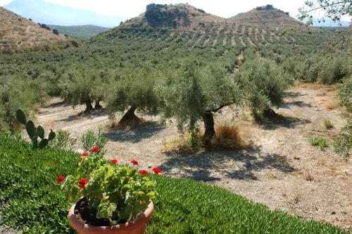 Agroturismo Casa Rural La Cateta