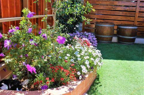 Hostal Dead Sea Club Guest House