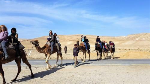 Hostal Dead Sea Club Guest House