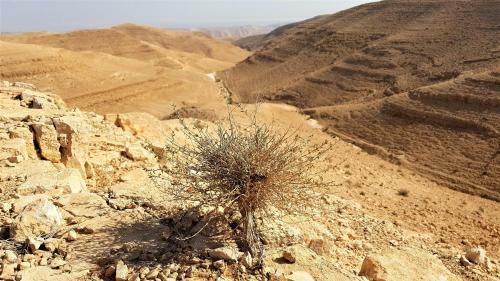 Hostal Dead Sea Club Guest House