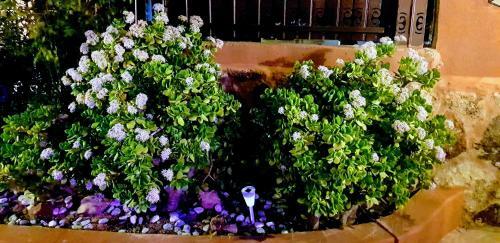 Hostal Dead Sea Club Guest House