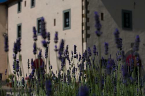 Agroturismo Relais Santa Margherita