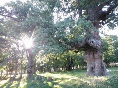 Agroturismo Casa Rural P�jaro Bobo