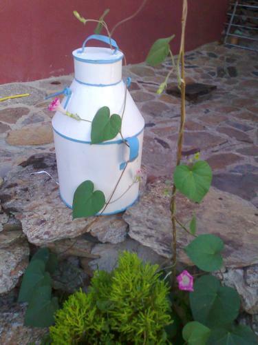 Agroturismo Casa Rural P�jaro Bobo