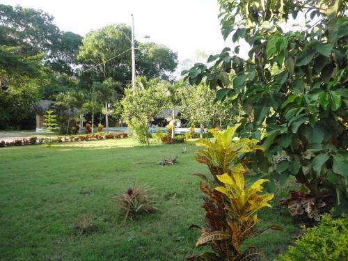Hostal Hosteria Arand�