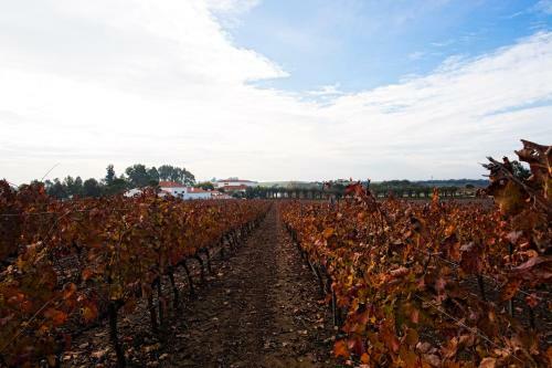 Agroturismo Herdade Da Calada