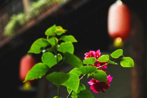 Posada Teng Chong He Shun Cha Ma Inn